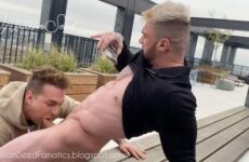 Ace Quinn and William Seed - Justthegays.com - Stream the newest and hottest free gay porn videos from OnlyFans, 4myfans, and Just for Fans. Thousand of hours of twinks sucking, jerking, and fucking