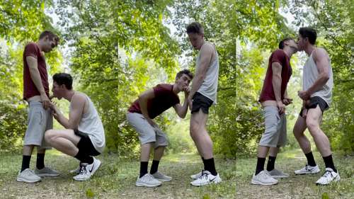 TheStepBrothers – quick blowjob and jerk off on a hike