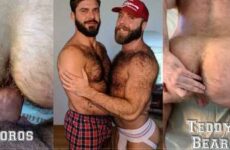 TeddyBear and Toros fuck