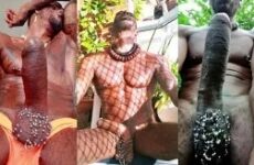 Ricardo Dotado – fucking compilation