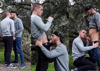 adrigomezbarrenetxea – blowjob exchange in the park