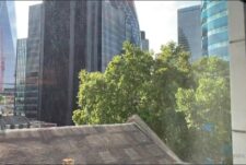 Teninchtopx fucks and breeds John Thomas