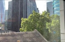 Teninchtopx fucks and breeds John Thomas