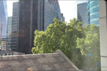 Teninchtopx fucks and breeds John Thomas Teninchtopx fucks and breeds John Thomas