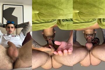 Watch a cock get sucked from above you