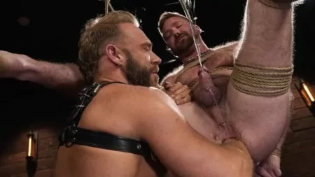 Brogan and Jayson Parker fuck – I Own Your Holes