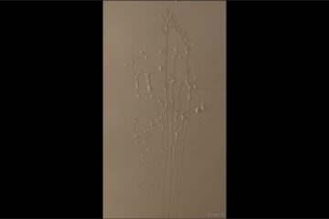 Two massive loads one at 810pm and one at 827pm want them in your face or mouth 1 – with Ethan_Pr