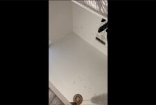 Cum cannon this is what you get after edging me3 – with Ethan_Pr