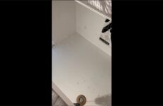 Cum cannon this is what you get after edging me3 – with Ethan_Pr