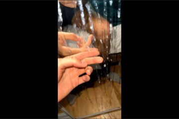 New mirror cumshot by popular demand I was so horny I shot an absolute massive load 1 – with Ethan_Pr New mirror cumshot by popular demand I was so horny I shot an absolute massive load 1 – with Ethan_Pr