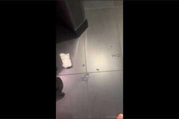 Any pigs that love cum – Luca Ambrose Any pigs that love cum – Luca Ambrose