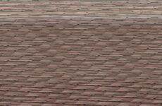 Zayne Bright – a twink fuck session in the back of the car