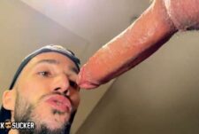 CockSucker – 22cm of Fun