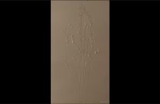 Two massive loads one at 810pm and one at 827pm want them in your face or mouth 1 – with Ethan_Pr