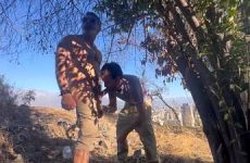 Fernanda Adusta and Manuel Keny fuck in the woods