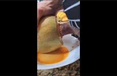 Alejandro Belmont – Fuck my melon