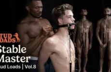 Stud Loads Vol. 8 – Stable Master – Alfonso Osnaya, Flynn Fenix, Oliver Carter, Sean Xavier