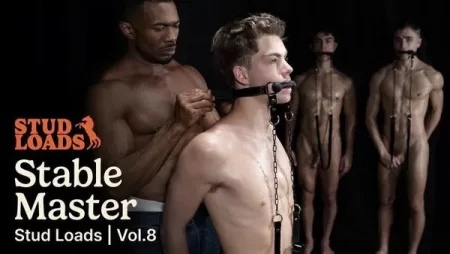 Stud Loads Vol. 8 – Stable Master – Alfonso Osnaya, Flynn Fenix, Oliver Carter, Sean Xavier