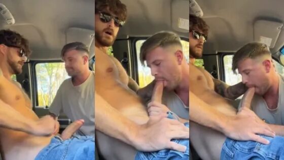 A blowjob in the front of the pickup A blowjob in the front of the pickup