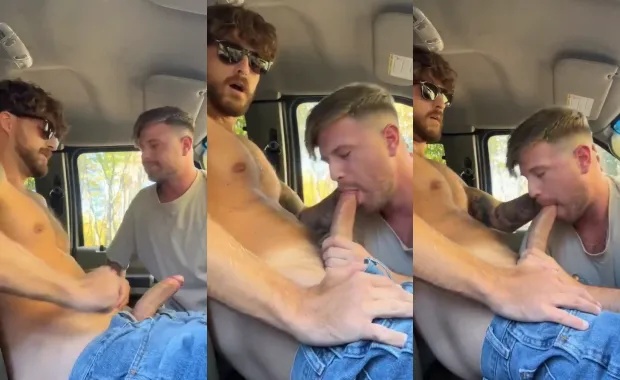 A blowjob in the front of the pickup