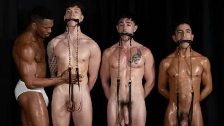 Stud Loads Vol. 11 – Mare Assessment – Sean Xavier, Finn August, Nico Coopa, Milo Miles